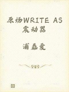 原炀WRITE AS震动器